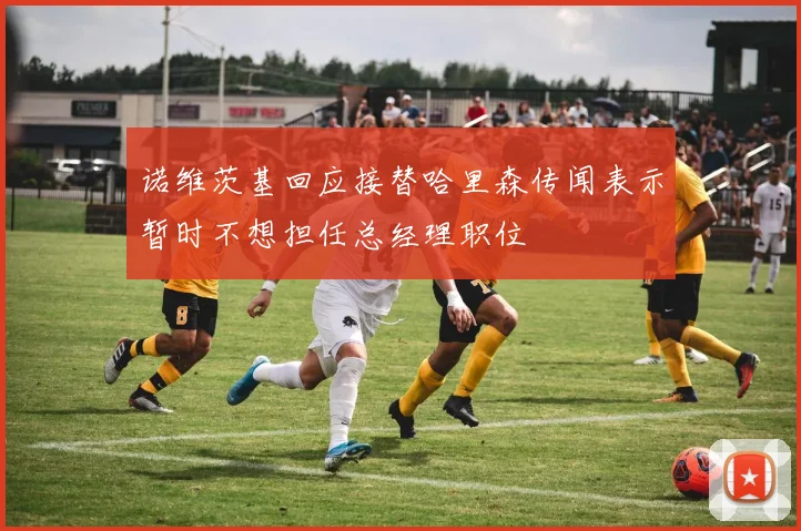 诺维茨基回应接替哈里森传闻表示暂时不想担任总经理职位